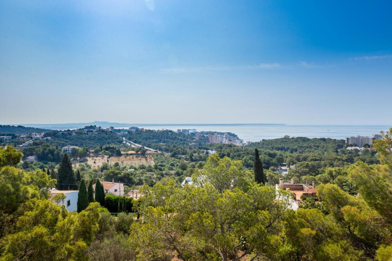 Big Villa Can Pedro In Palma De Mallorca Exteriér fotografie